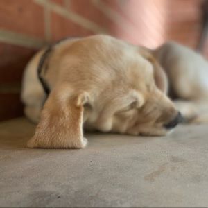 Meet your Posher, Jess